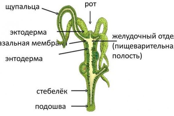 Кракен мефедрон