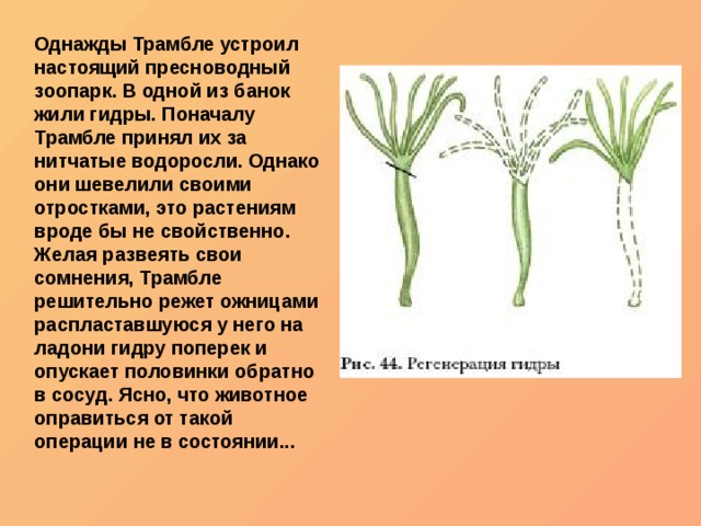 Кракен сайт 1kraken me